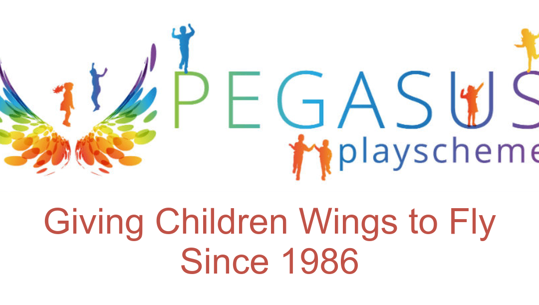 How did Pegasus Start